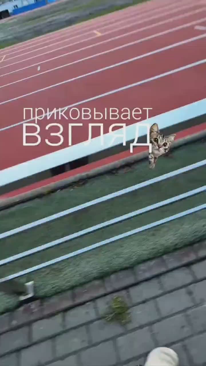 В Челябинске завершается реконструкция легкоатлетического комплекса имени Елены Елесиной