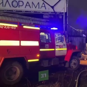 В Челябинске сгорела пилорама