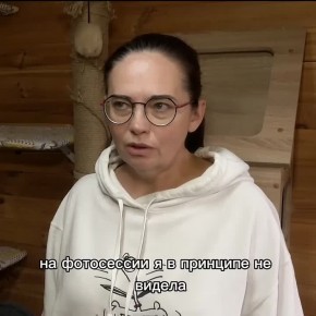 Питомец, а не реквизит. Челябинские приюты ограничили выдачу животных в преддверии Хэллоуина