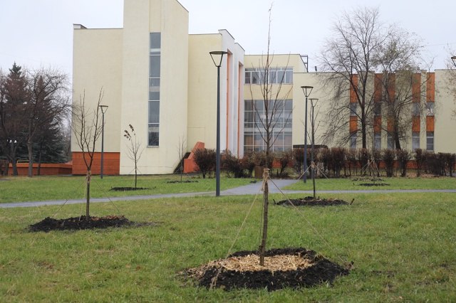 Чтобы город стал зеленее. Осенний период - время завершающей стадии озеленения города Чтобы город стал зеленее. Осенний период - время завершающей стадии озеленения города