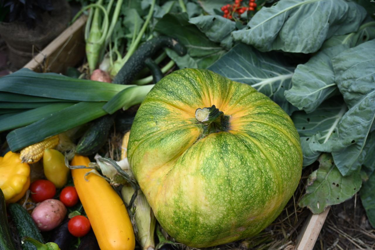 Челябинские родители предлагают заменить Хэллоуин «Тыквенным спасом»