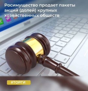 Росимущество объявляет о проведении продажи на аукционах крупных корпоративных активов, обращенных в доход Российской Федерации в судебном порядке, на общую сумму более 9 млрд рублей