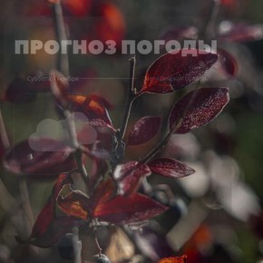 Пасмурно в Челябинске. В первую субботу ноября отмечается Всемирный день мужчин