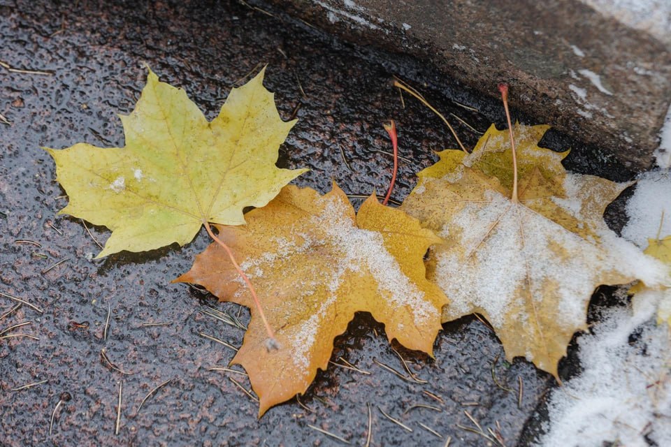 Метеорологи составили предварительный прогноз на ноябрь в Челябинской области