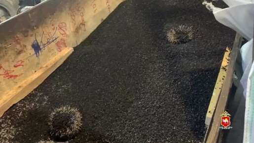 В Челябинске полицейские провели рейд по проверке соблюдения миграционного законодательства