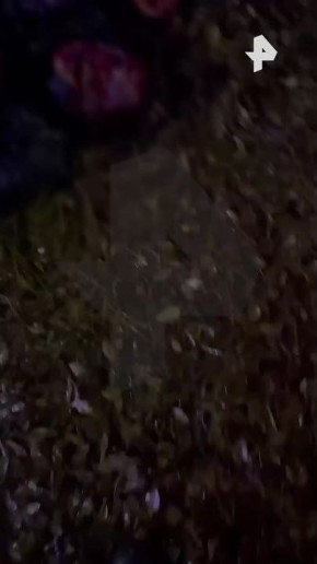 На два месяца арестовали мужчину, который напал с мачете на бывшую жену и её нового возлюбленного в Челябинске