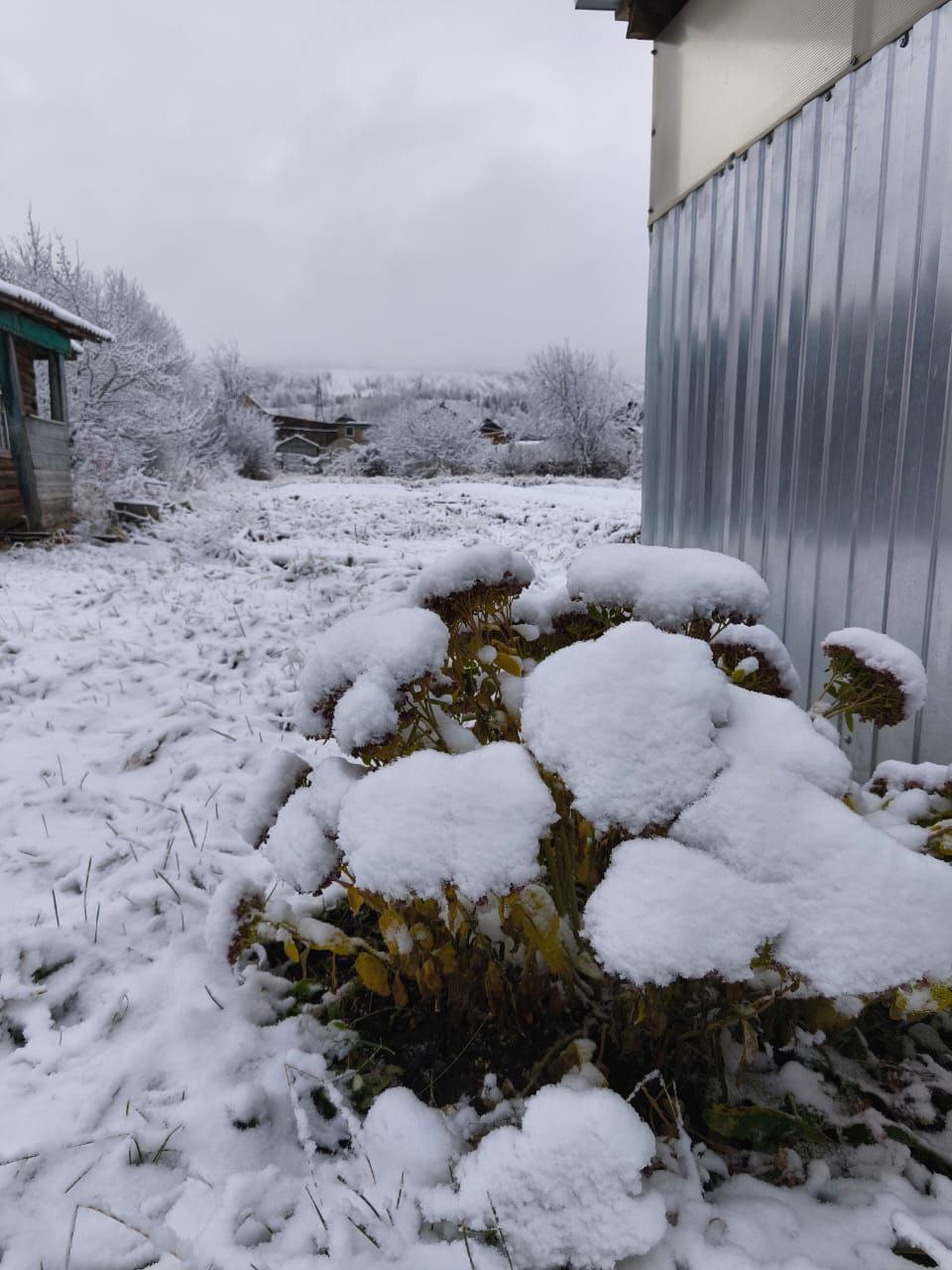 Челябинскую область засыпало снегом