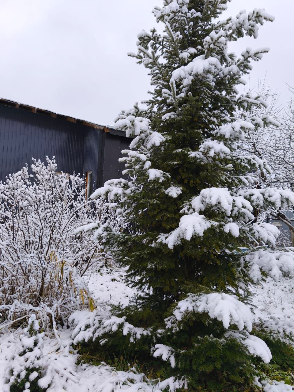 Челябинскую область засыпало снегом Челябинскую область засыпало снегом