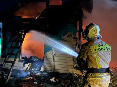 На пожаре в садовом товариществе Челябинска погиб человек