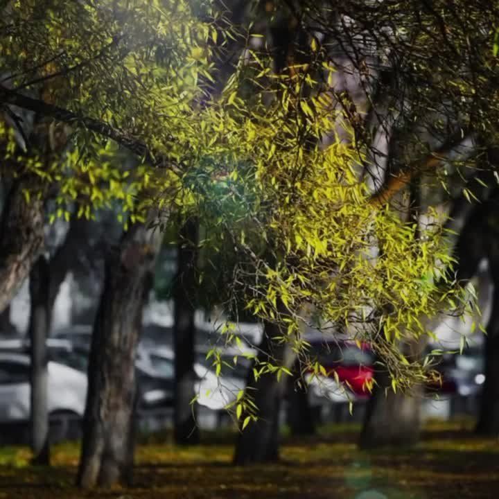 Ясная погода в Челябинске. Наша страна, как один большой дом