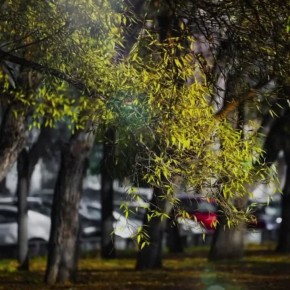 Ясная погода в Челябинске. Наша страна, как один большой дом