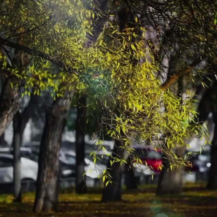 Ясная погода в Челябинске. Наша страна, как один большой дом