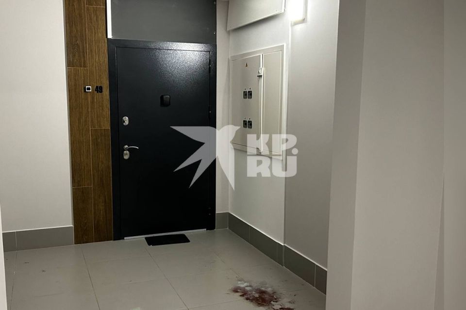 «Платила три тысячи в сутки»: что известно о квартире, где мать спрятала в диване растерзанную дочь и бесследно исчезла