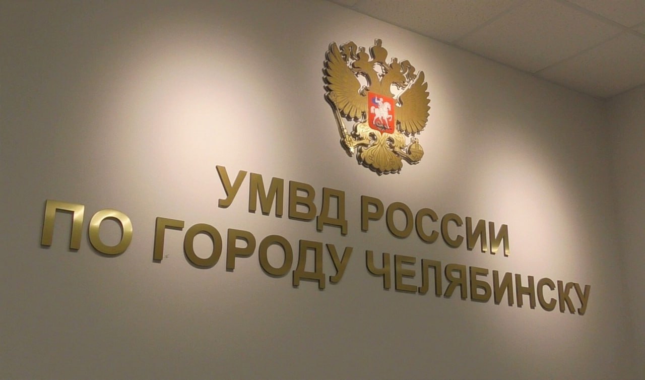 Челябинскими полицейскими задержан местный житель, подозреваемый в незаконной рубке лесного насаждения