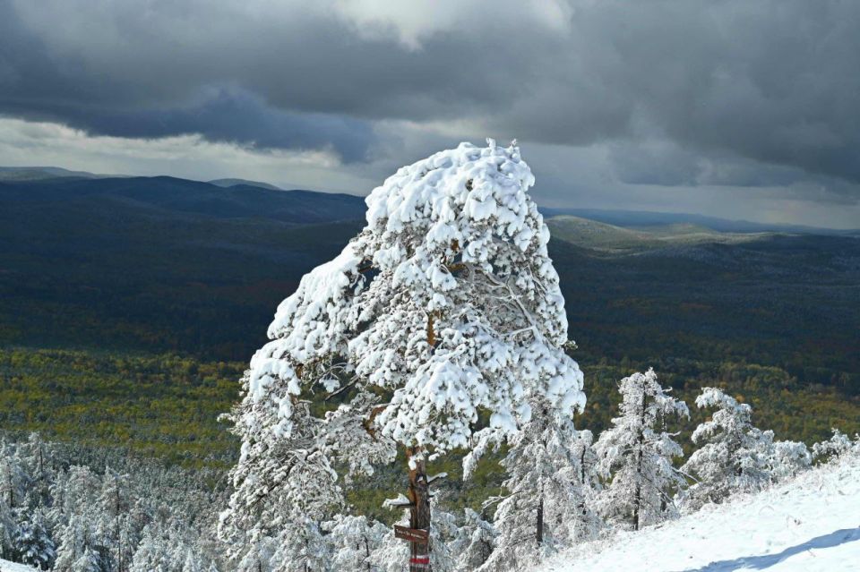 Доброе утро, южноуральцы!. Сегодня вторник, 4 ноября