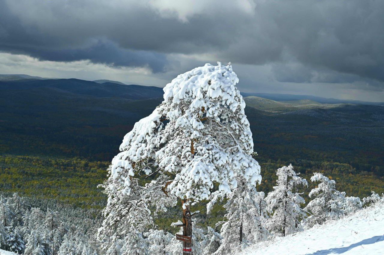 Доброе утро, южноуральцы!. Сегодня вторник, 4 ноября