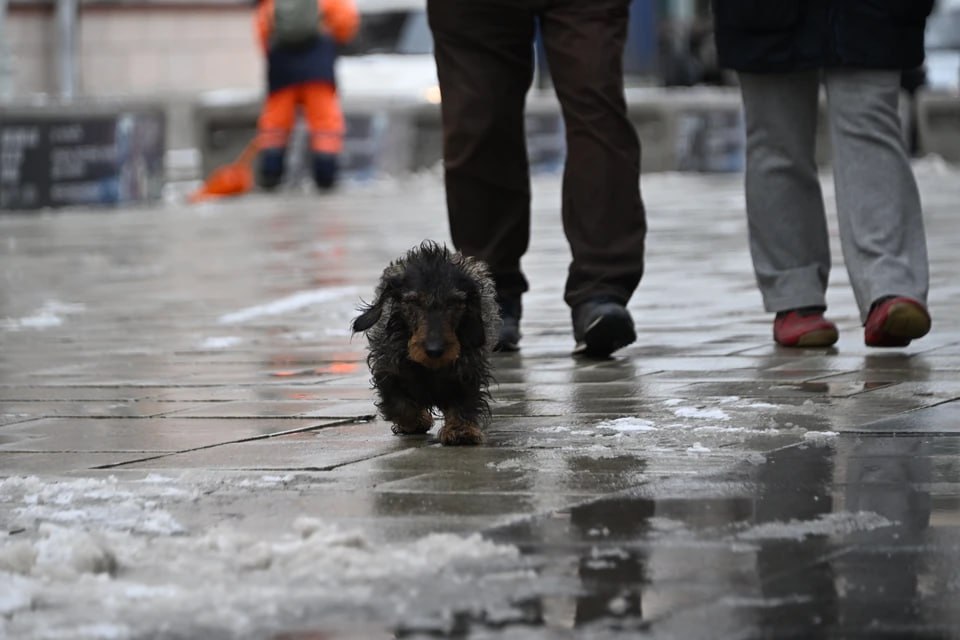 Прогноз погоды в Челябинской области: 6–9 ноября 2025 года