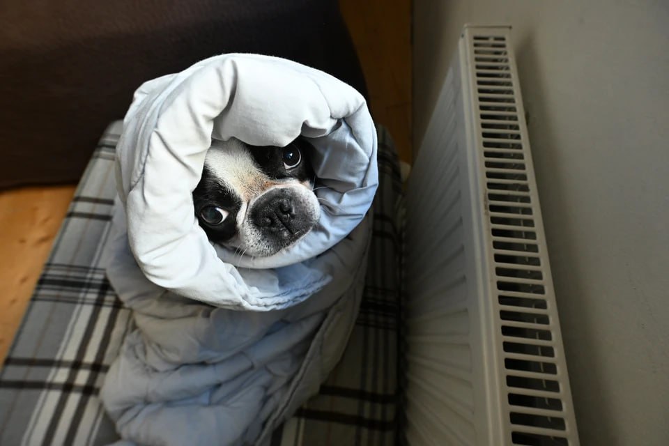 В Челябинске 52 дома останутся без отопления 6 ноября