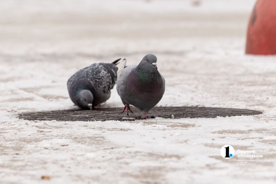 Вот так всегда в Челябинске: просыпаешься – а за окном уже совсем другой сезон