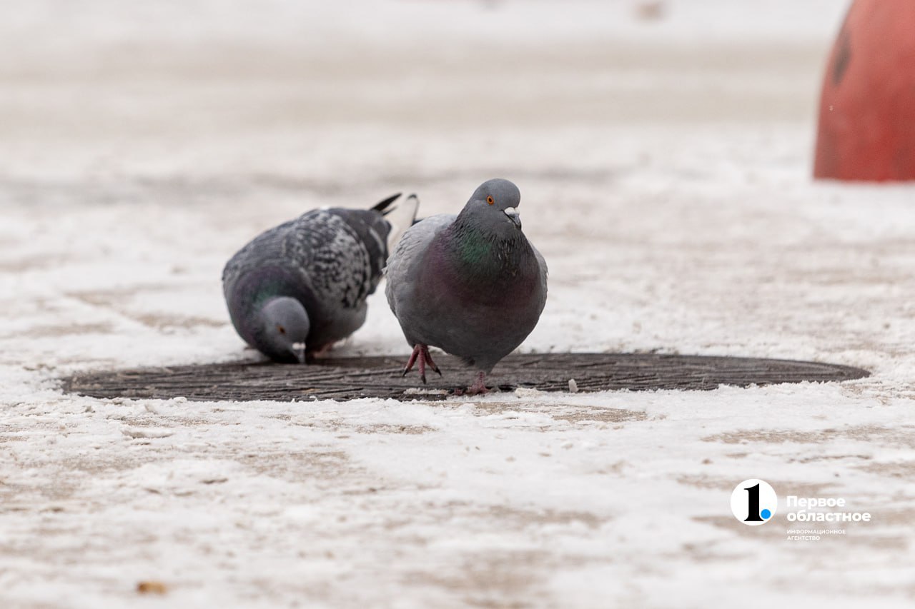 Вот так всегда в Челябинске: просыпаешься – а за окном уже совсем другой сезон