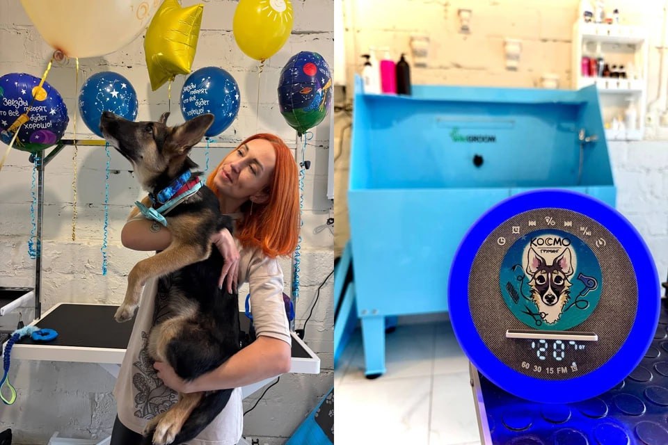 В Челябинске появился новый салон для животных, и имя ему дали в честь щенка Космо, которого вместе с мамой нашли привязанными к дереву без еды и воды у озера Смолино