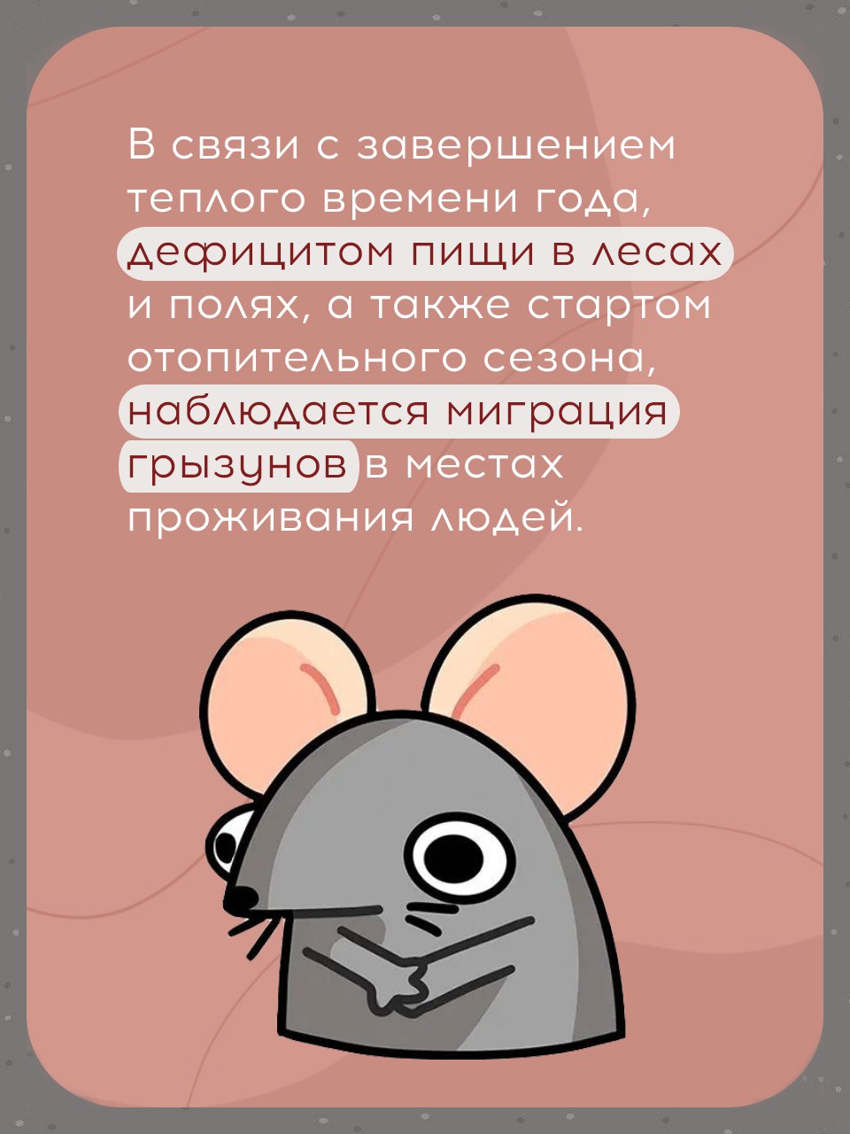 Проблема нашествия крыс становится всё более актуальной, особенно в крупных городах и населённых пунктах Проблема нашествия крыс становится всё более актуальной, особенно в крупных городах и населённых пунктах