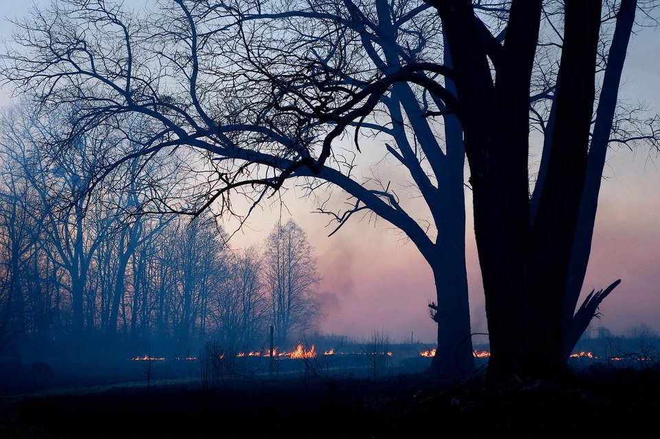 Сезон лесных пожаров закрыт: на Южном Урале официально завершается опасный период