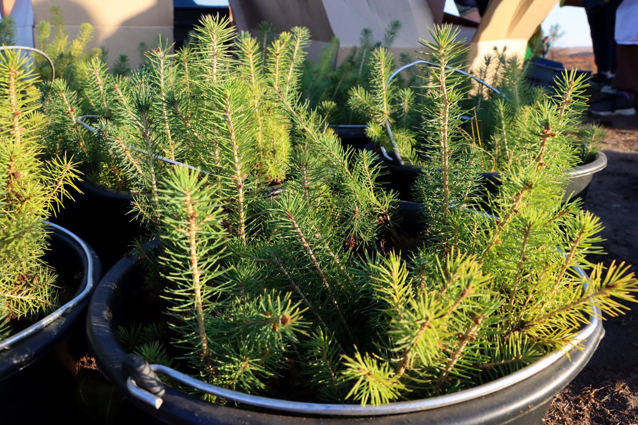 Виктория Мельникова: Друзья, важные и интересные новости из ДНР, которые вы могли пропустить на этой неделе (учитывая, сколько мы отдыхали) Виктория Мельникова: Друзья, важные и интересные новости из ДНР, которые вы могли пропустить на этой неделе (учитывая, сколько мы отдыхали)