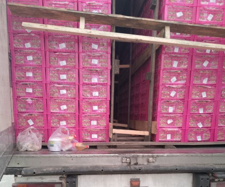 Остались без винограда и без плова Остались без винограда и без плова