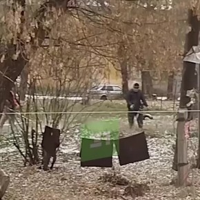 Самые трудолюбивые газонокосильщики живут в Челябинске