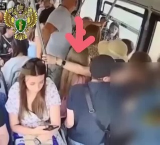 В Челябинске будут судить карманника-рецидивиста