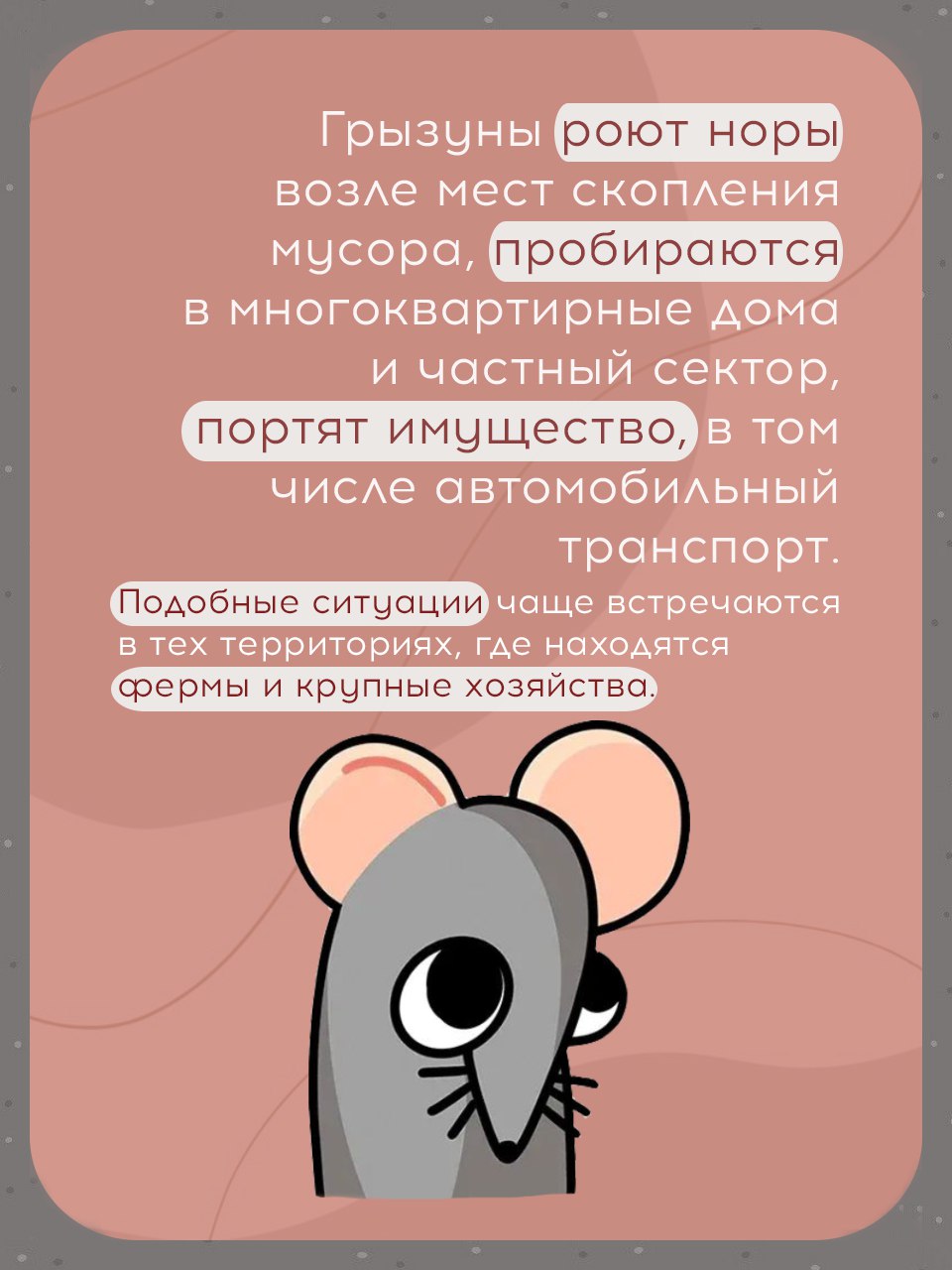 Проблема нашествия крыс становится всё более актуальной, особенно в крупных городах и населённых пунктах Проблема нашествия крыс становится всё более актуальной, особенно в крупных городах и населённых пунктах
