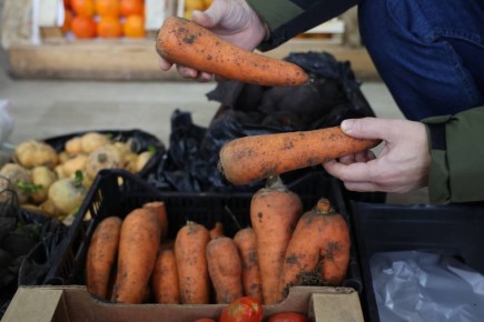Терапевт Анна Шумова напомнила о самом полезном элементе питания для беременных
