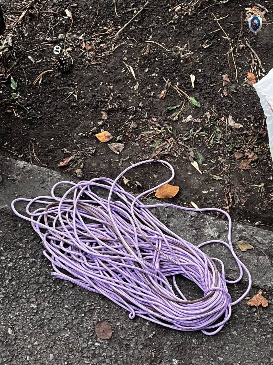 В Магнитогорске задержали подозреваемого в убийстве знакомого В Магнитогорске задержали подозреваемого в убийстве знакомого