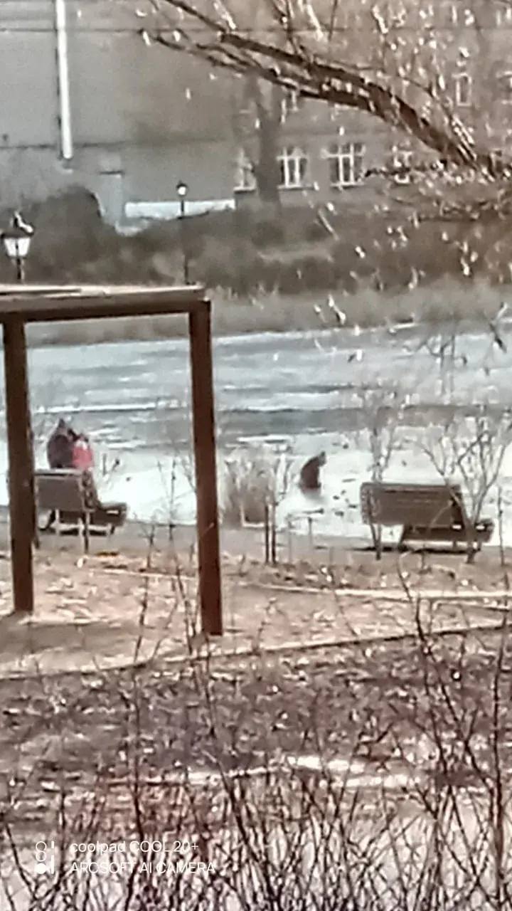 Тонкий лед - тонкая грань. В сети все чаще появляются видео, где дети бегут по первому льду Тонкий лед - тонкая грань. В сети все чаще появляются видео, где дети бегут по первому льду