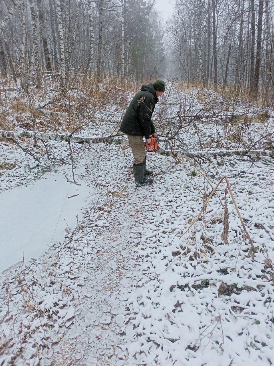 На Зигальге расчищают лесные дороги