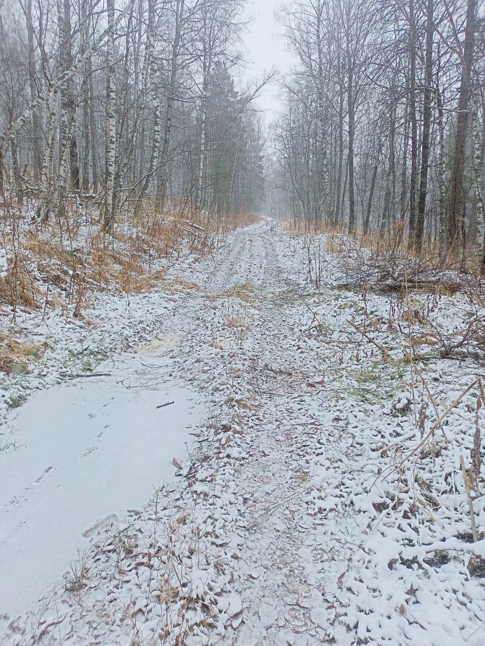 На Зигальге расчищают лесные дороги На Зигальге расчищают лесные дороги