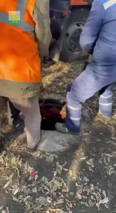 Ну вот что, товарищи! Финита ля комедия!