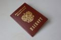 Два челябинца предстанут перед судом за уничтожение паспорта