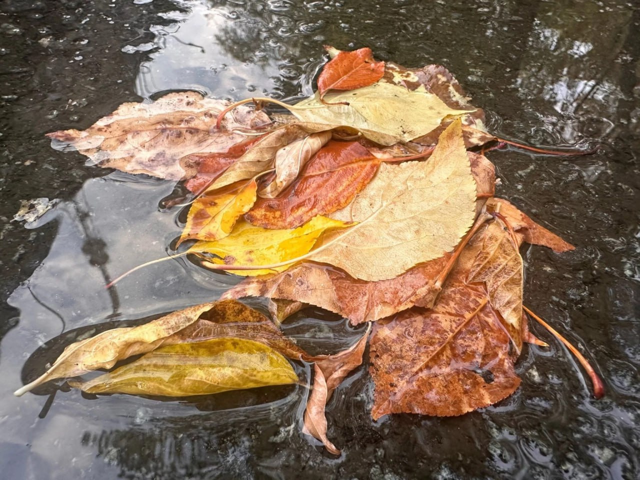 До +6°C прогреется воздух в Челябинской области