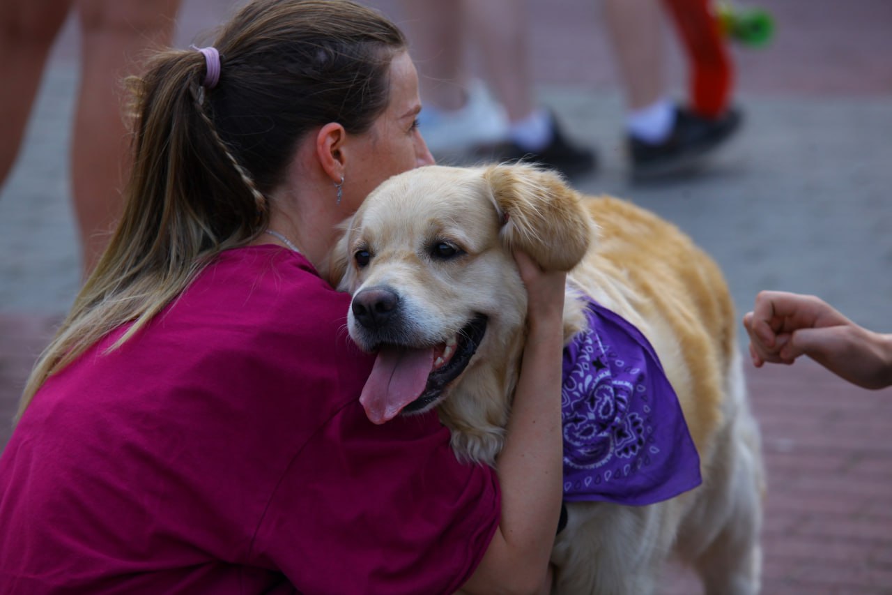 С 2026 года челябинцев обяжут «прописывать» домашних питомцев