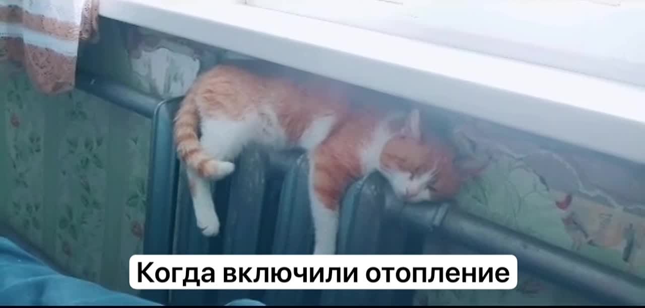 На следующей неделе придут первые счета за отопление