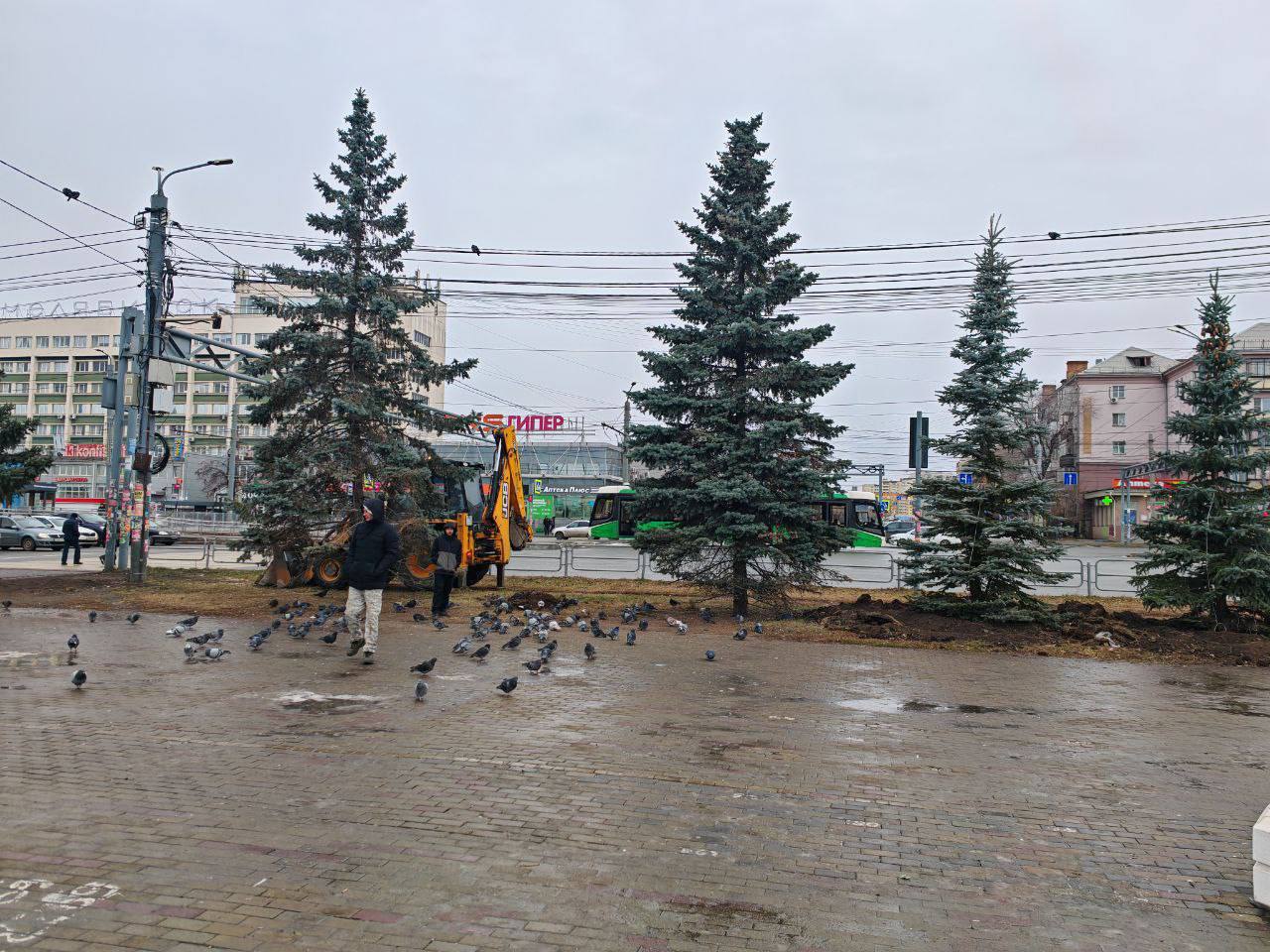 Центр Челябинска украсили семь больших голубых елей