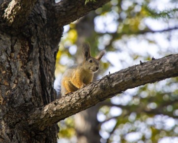 Доброе утро, южноуральцы!. Сегодня суббота, 8 ноября