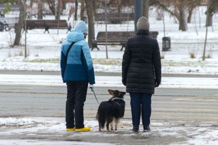 Доброе утро, южноуральцы!. Сегодня воскресенье, 9 ноября