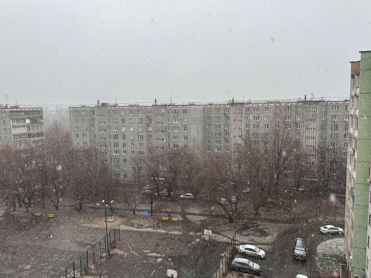 Цвет настроения — серый: Южный Урал накрыло мокрым снегом