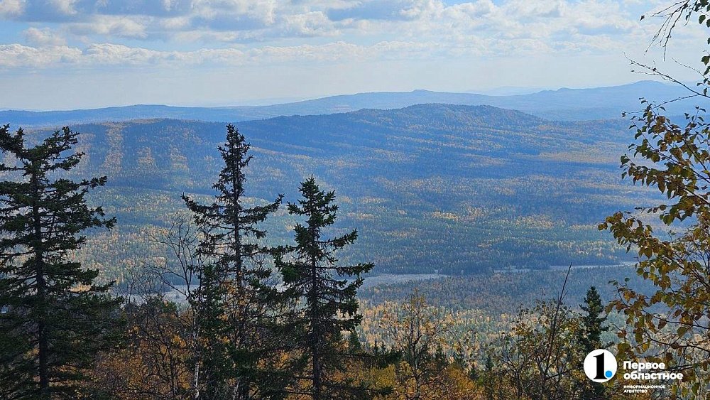Итоги понедельника, 10 ноября, в дайджесте ИА «Первое областное» Итоги понедельника, 10 ноября, в дайджесте ИА «Первое областное»