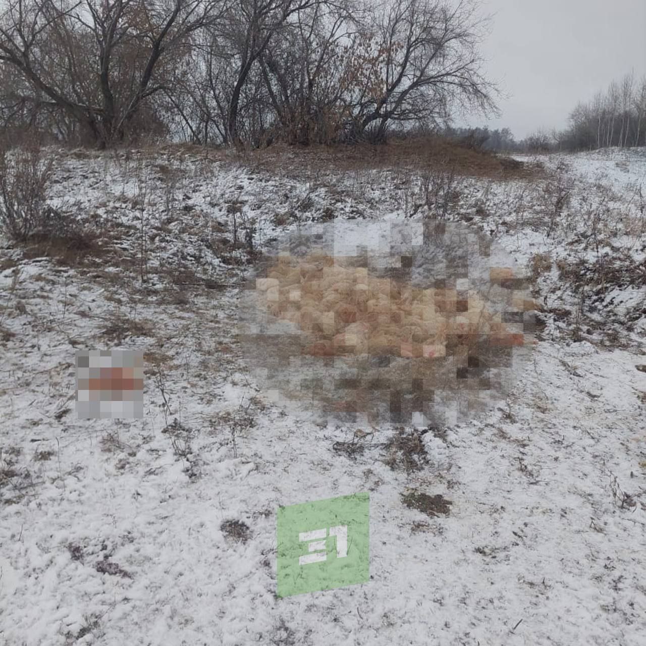 Под Копейском выбросили десятки мертвых кур