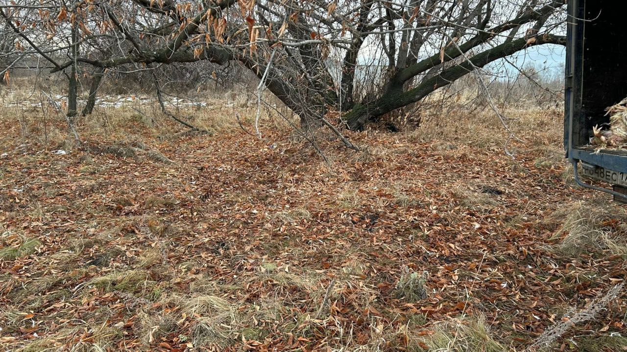 В Копейске обработали территорию после утилизации биологических отходов В Копейске обработали территорию после утилизации биологических отходов