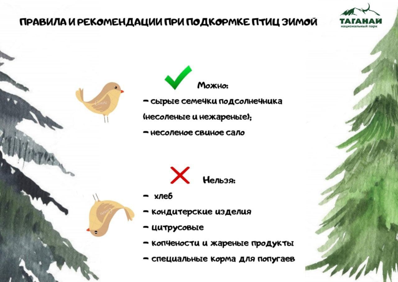 В нацпарках Челябинской области начинают зимнюю подкормку птиц